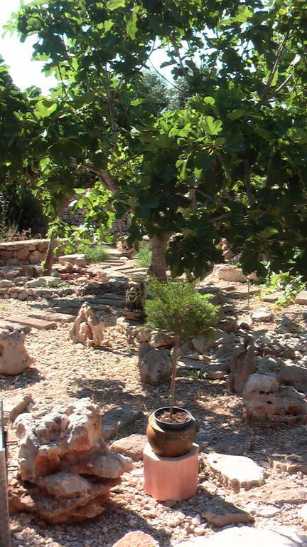 Bed and Breakfast Dipendanza Veneri Salve Esterno foto